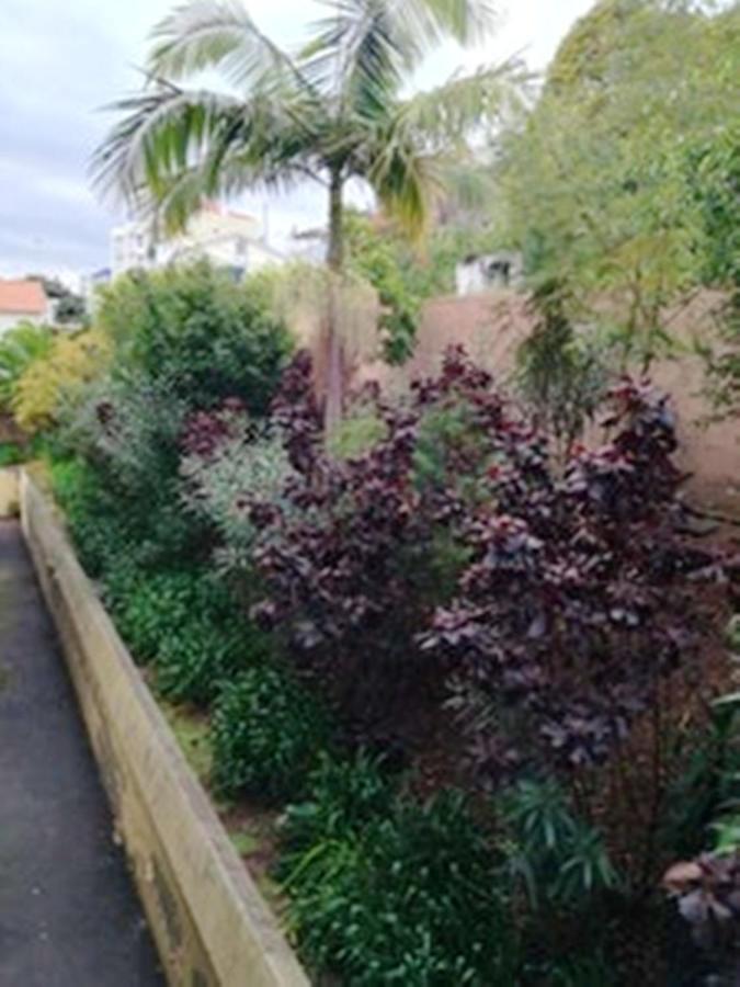 Charming Apartment In Funchal With Balcony And View Exterior photo