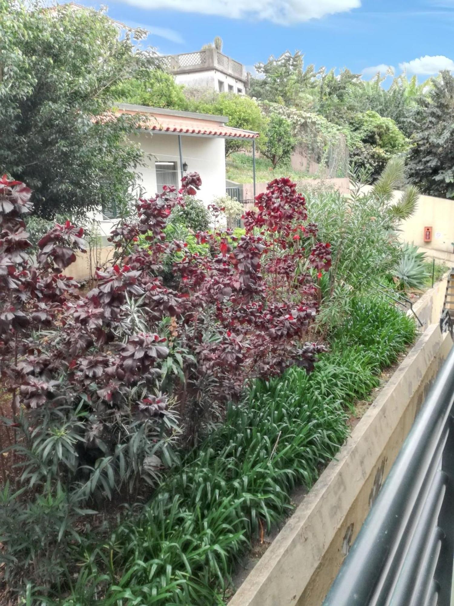 Charming Apartment In Funchal With Balcony And View Exterior photo